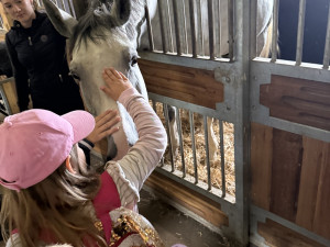 OC Nisa Liberec podpoří dobrou věc. Přihlášky končí 30. 4.