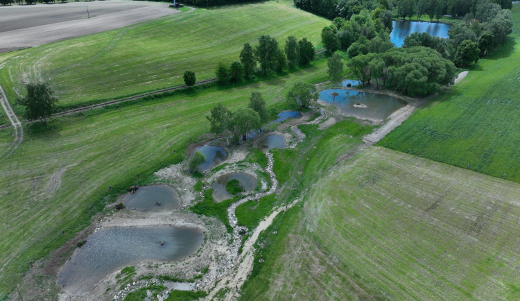 Boj s klimatickou změnou a návrat vody do krajiny. Černovice zvou na exkurzi