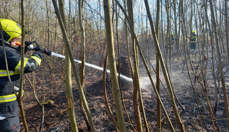 Hasiči bojují s rozsáhlým požárem lesa na Náchodsku. Na pomoc si přivolali také vrtulník