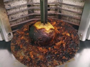 Inspektoři zavřeli kvůli špíně Qin restauraci v Hypermarketu Albert u libereckého bazénu