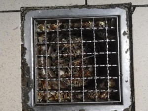 Inspektoři zavřeli kvůli špíně Qin restauraci v Hypermarketu Albert u libereckého bazénu