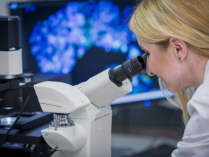 Pomoc špičkových odborníků pro firmy za hubičku? Nabízí ji liberecká univerzita