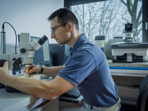 Pomoc špičkových odborníků pro firmy za hubičku? Nabízí ji liberecká univerzita