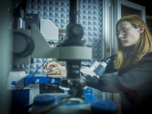 Pomoc špičkových odborníků pro firmy za hubičku? Nabízí ji liberecká univerzita