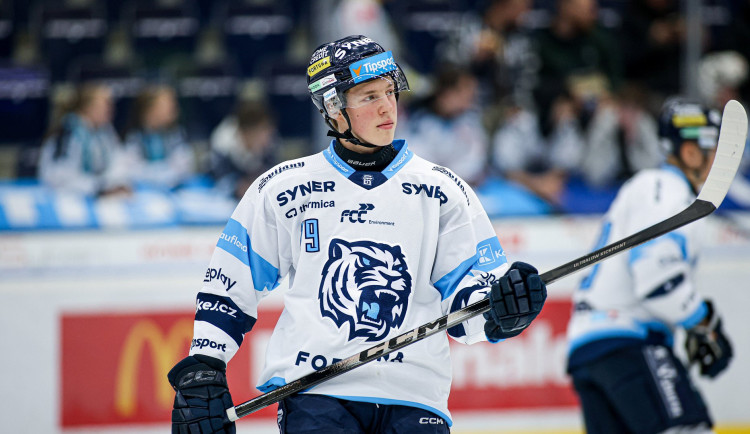 Kemp s českou elitou? Je to pro mě výborné srovnání, věří Tygr Galvas