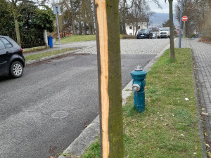 Vandal poškodil stromy Mozartově a Zborovské ulici. Město podalo trestní oznámení