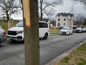 Vandal poškodil stromy Mozartově a Zborovské ulici. Město podalo trestní oznámení