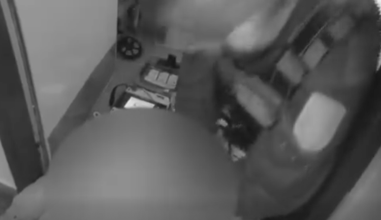 VIDEO: Za tři minuty na místě a okamžitá resuscitace. Muž přežil díky strážníkům