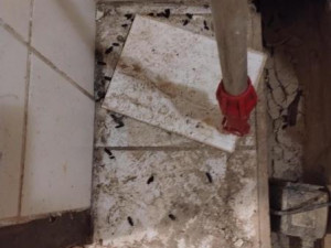 Inspektoři zavřeli kvůli špíně Sushi bar Mix Dan v Pražské ulici v Liberci