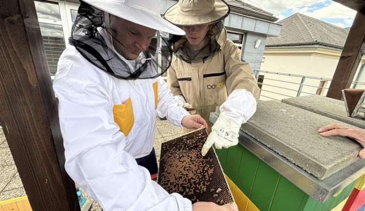 Podpora Zlaté včely vyvolala debatu. Čtenáři vadí 15 tisíc, kraj se hájí širší podporou