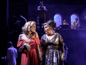 PETR NEUBERT petr@prook.cz