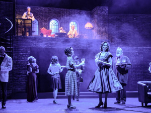 PETR NEUBERT petr@prook.cz