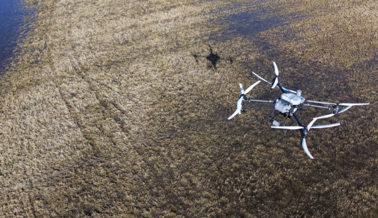 Drony versus komáři. Vědci vylepší monitoring otravného hmyzu