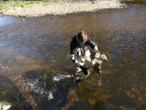 Dobrovolníci uklízeli meandry Smědé. Nasbírali desítky pytlů odpadu i pneumatiky