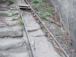 U Drábských světniček hnízdí sokoli, Lesy ČR musí odložit obnovu infrastruktury