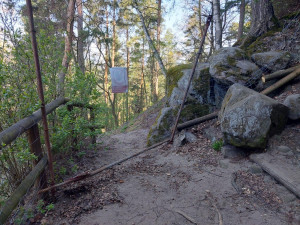 U Drábských světniček hnízdí sokoli, Lesy ČR musí odložit obnovu infrastruktury