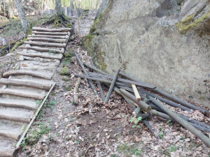 U Drábských světniček hnízdí sokoli, Lesy ČR musí odložit obnovu infrastruktury