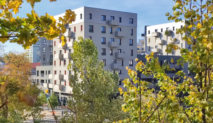 Rezidence a Centrum RoSa Liberec.