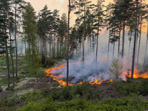 Bojovat s lesním požárem v Českém Švýcarsku vyrazil ráno také odřad hasičů z Libereckého kraje