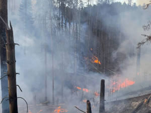 Hasiči z Libereckého kraje dál pomáhají hasit požár v národním parku České Švýcarsko
