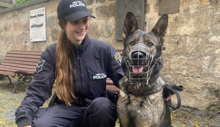Důležitá posila pro českolipskou městskou policii: fenka Calimera a její dvounohá psovodka