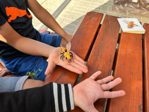 Nejen učebnice. Děti v Libereckém kraji poznávají řemeslo přímo u zdroje