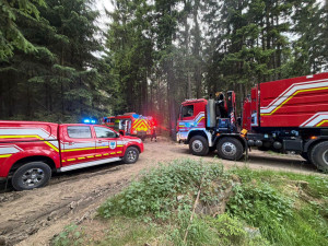 Další požár lesa. Tentokrát hořel v neděli večer u Hrádku nad Nisou