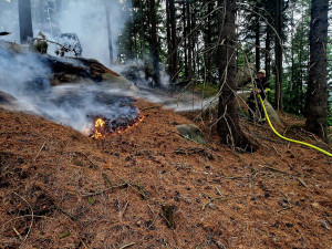 Další požár lesa. Tentokrát hořel v neděli večer u Hrádku nad Nisou