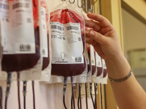 Je světový den dárců krve. Transfuzka liberecké nemocnice u té příležitosti hledá prvodárce