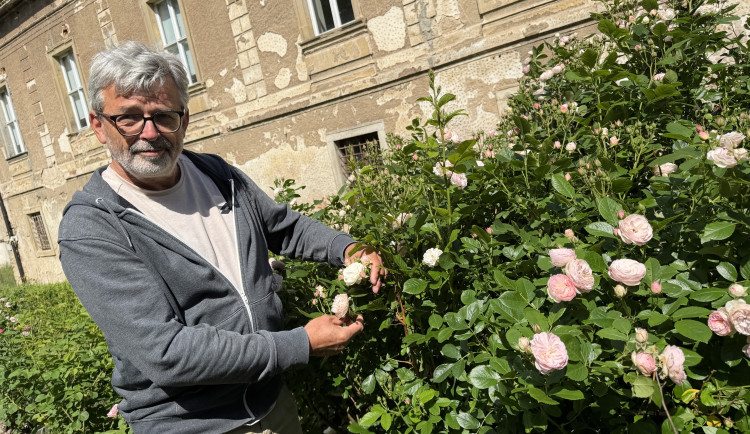 Největší sbírka historických růží v Česku právě rozkvétá v zahradě zámku Nebílovy