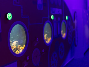 Novinka v libereckém iQPARKU: multisenzorická expozice Moře smyslů