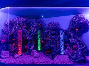 Novinka v libereckém iQPARKU: multisenzorická expozice Moře smyslů