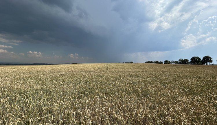 Po deštivém začátku týdne dorazí slunce. O víkendu bude až 31 stupňů