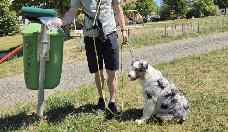 Naučí se lidé po psech uklízet? Obvod instaloval desítky stojanů se sáčky na výkaly