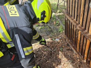 Nehody, požár traktoru i odchyt hada. Hasiči o víkendu vyjížděli k 60 událostem