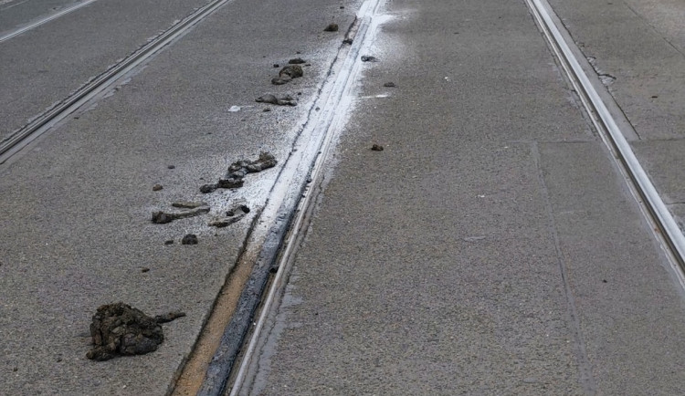 Vysoké teploty poškodily tramvajovou trať mezi Florencí a Palmovkou