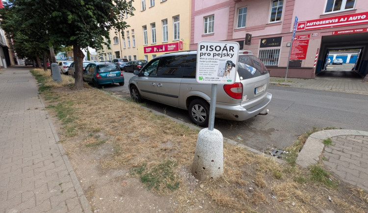 Lidé si stěžují na sečení trávníků, obvod k tomu má pádný důvod