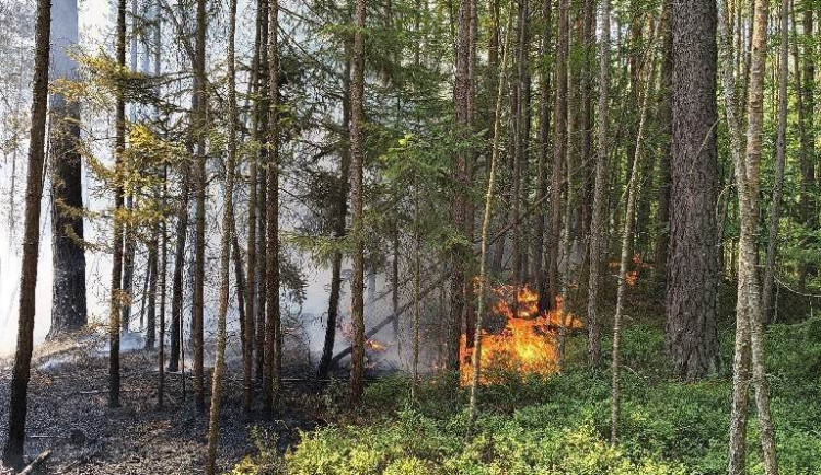 Požár v Národním parku Šumava. Hašení ohně komplikoval nepřístupný terén