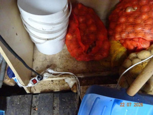 Hlodavci i špína. Inspekce stopla výrobu závitků ve večerce v Raspenavě