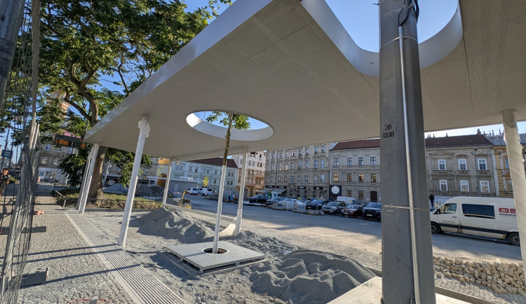 Dříve ostudné sady Pětatřicátníků procházejí proměnou. Přibyly už stromy i záhony