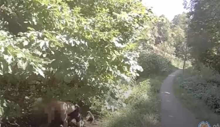 Zdrogovaný muž se válel v bahně a pil z potoka. Pak se jeho stav ještě zhoršil