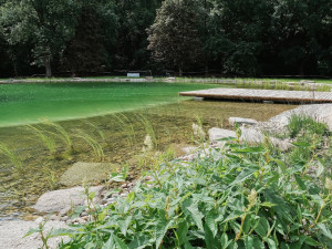 Nový biotop v Dolánkách u Turnova se otevírá veřejnosti: Čeká vás republikový unikát