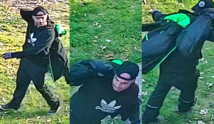 Poznáváte ho? Policisté hledají důležitého svědka vloupání v Liberci