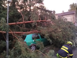 Nový Bor po bouřce uzavřel Lesní hřbitov. Obyvatele žádá o opatrnost