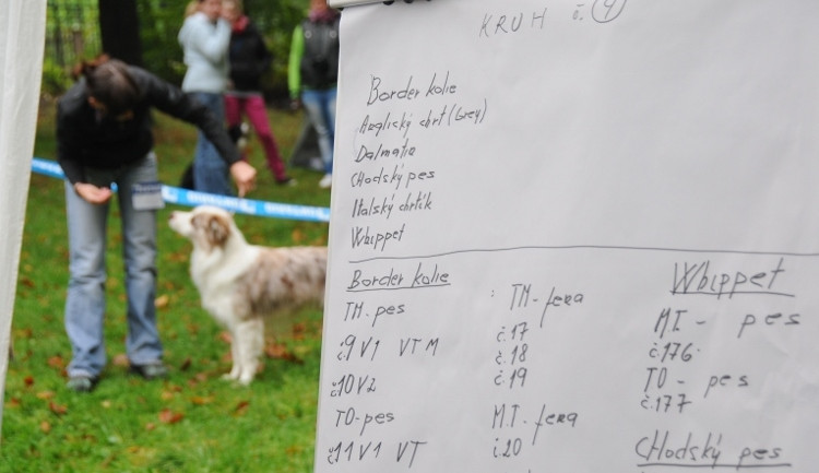 Podještědská výstava psů, 30. ročník