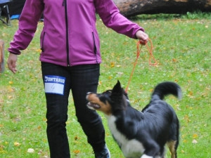 Podještědská výstava psů, 30. ročník