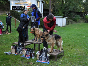 Soutěž v Pavlovicích