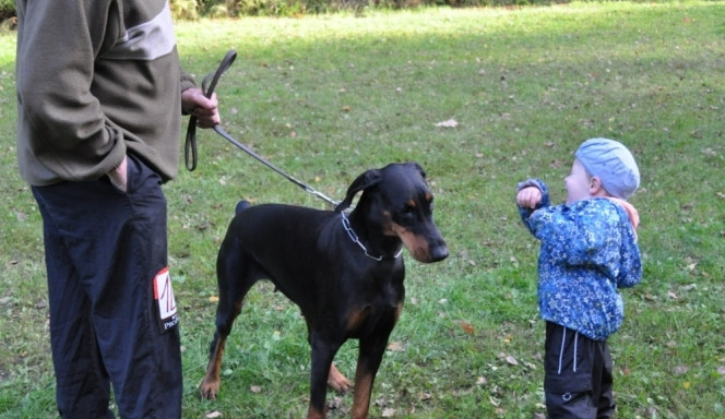 Soutěž v Pavlovicích