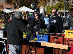 Koupit jste si mohli i bylinky. S poutavým výkladem prodávajícího