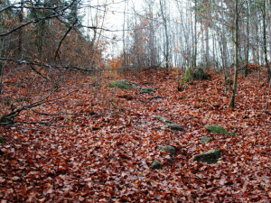 Kateřinské údolí je prudké